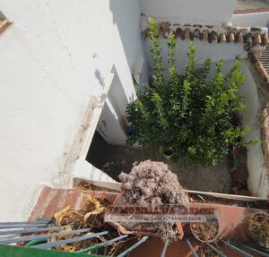 Venta de casas en martos